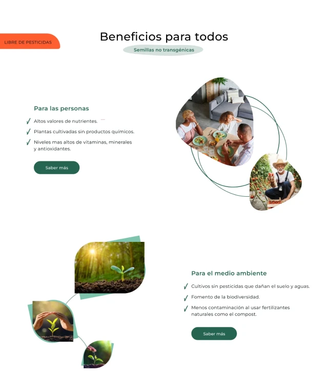 Imagen de una captura de pantalla de la sección sobre los beneficios de consumir semillas orgánicas de un diseño sobre una página web que vende semillas orgánicas